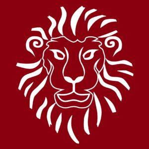Open de fleuret M11& M13 à Lyon